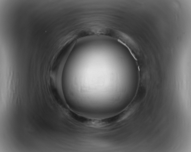 X0000085300121200703091441