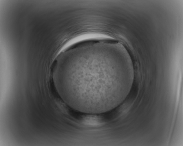 X0000085300123200703091441