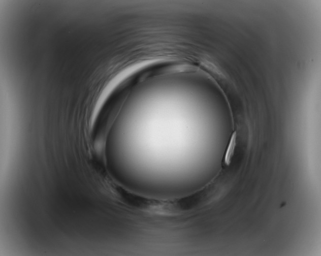 X0000085300125200703091441