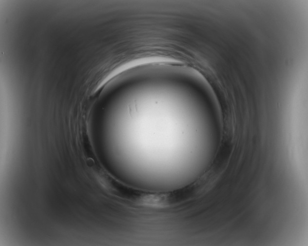 X0000085300126200703091441