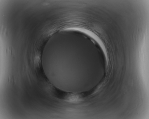 X0000085300127200703091441