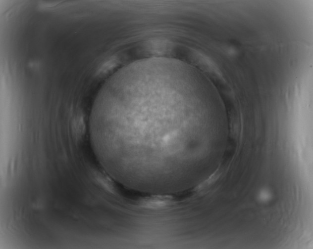 X0000085300128200703091441