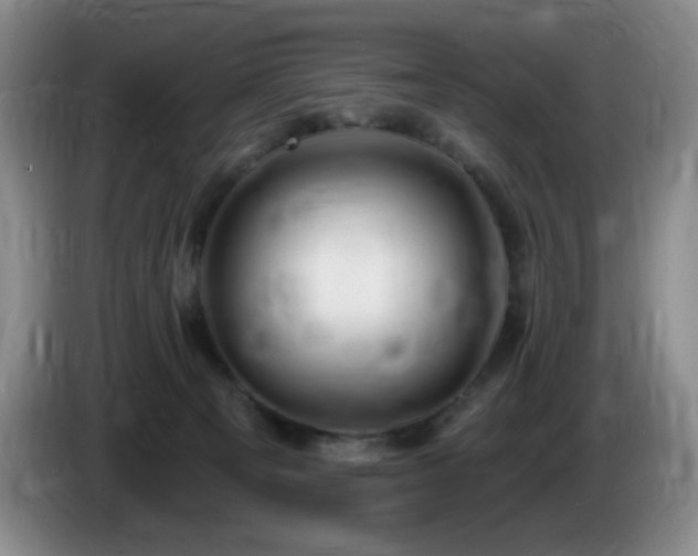 X0000085300129200703091441