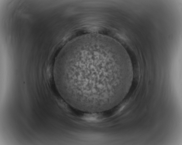 X0000085300131200703091441