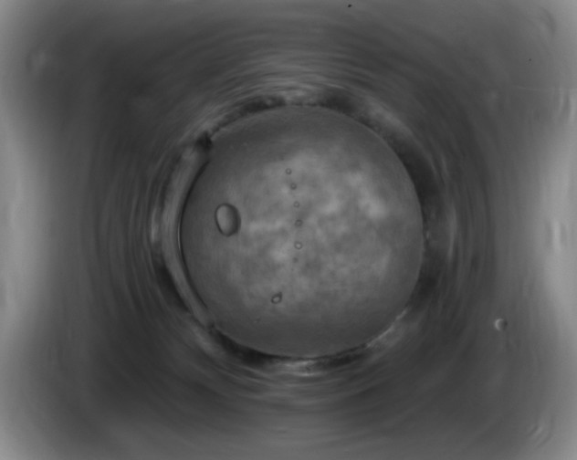 X0000085300132200703091441