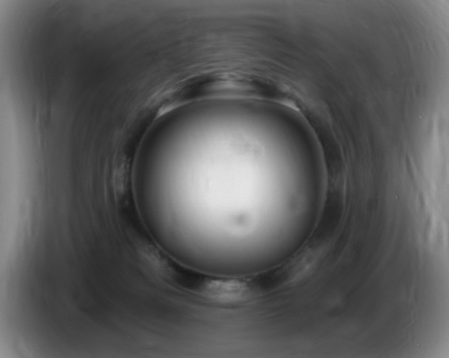 X0000085300133200703091441