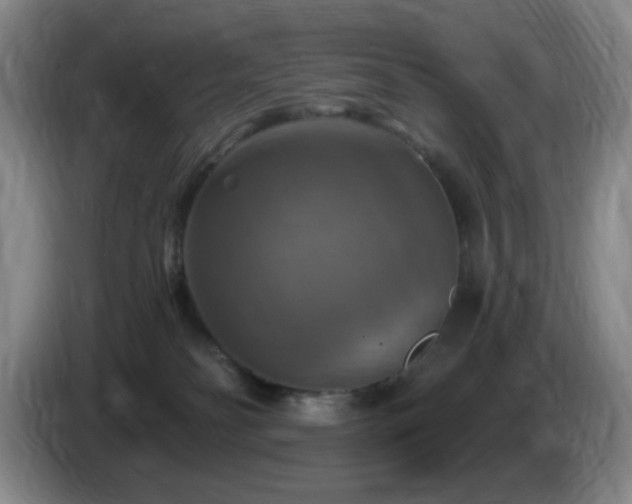 X0000085300134200703091441