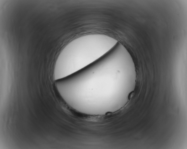 X0000085300136200703091441