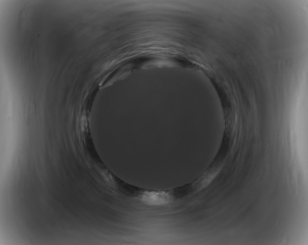 X0000085300137200703091441