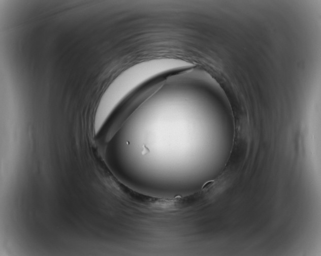 X0000085300138200703091441