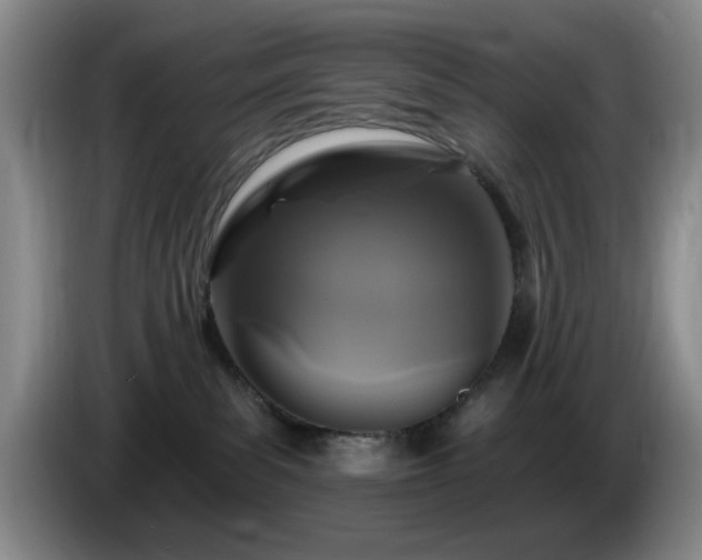 X0000085300139200703091441