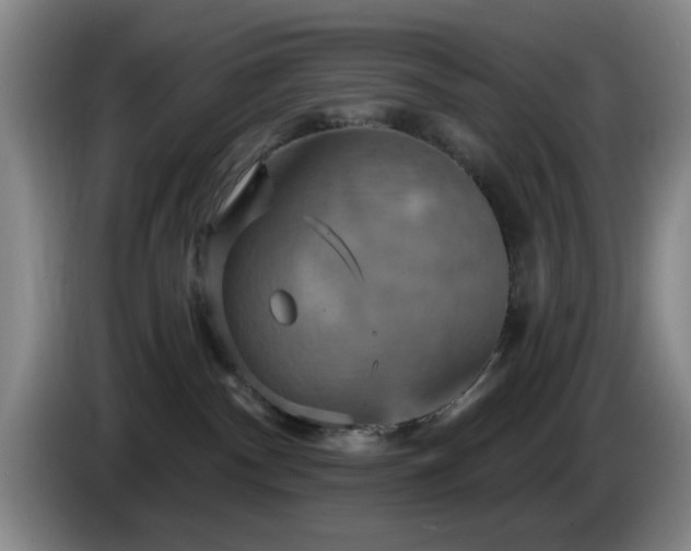 X0000085300140200703091441