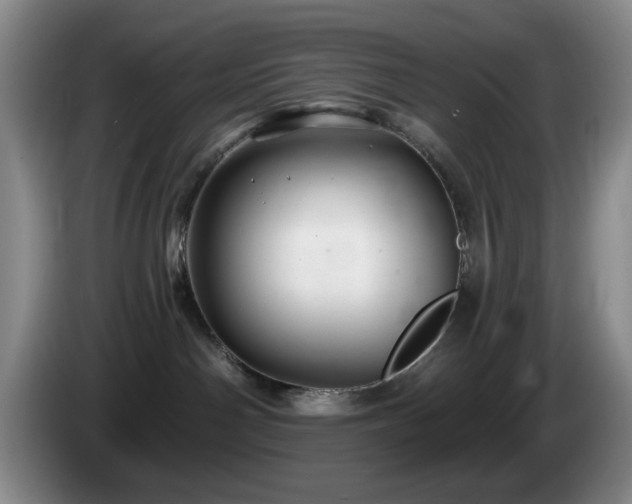 X0000085300142200703091441