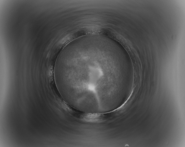 X0000085300144200703091441