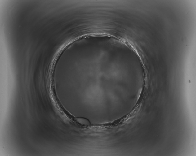 X0000085300145200703091440