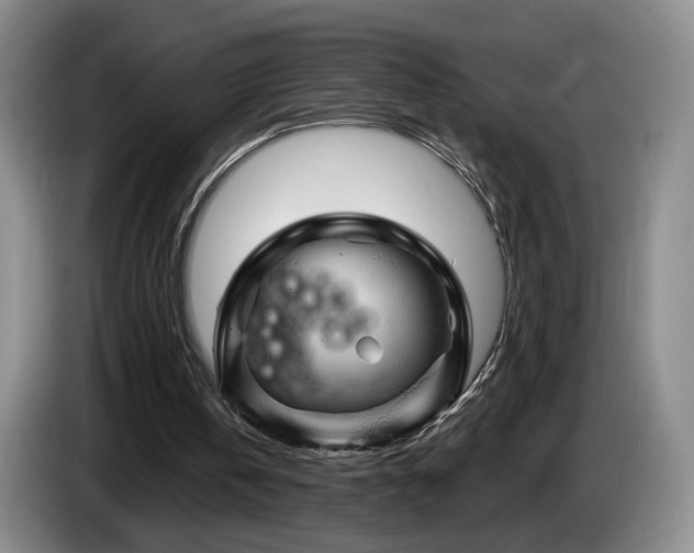 X0000085300146200703091440