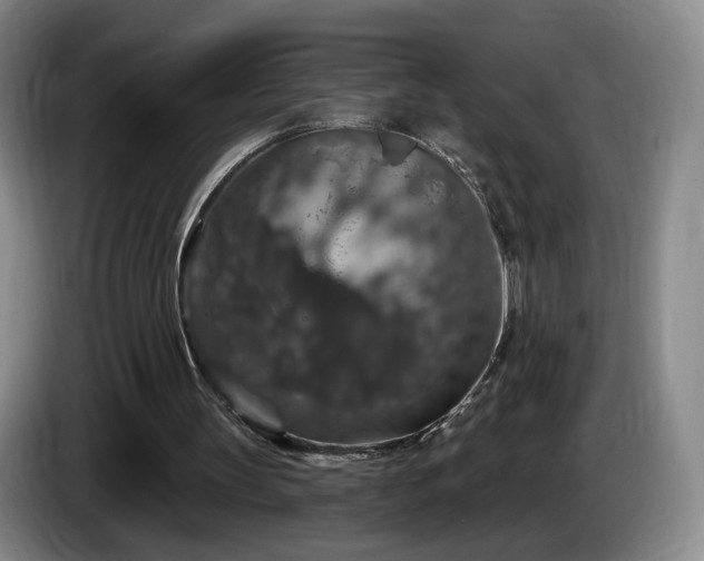 X0000085300147200703091440