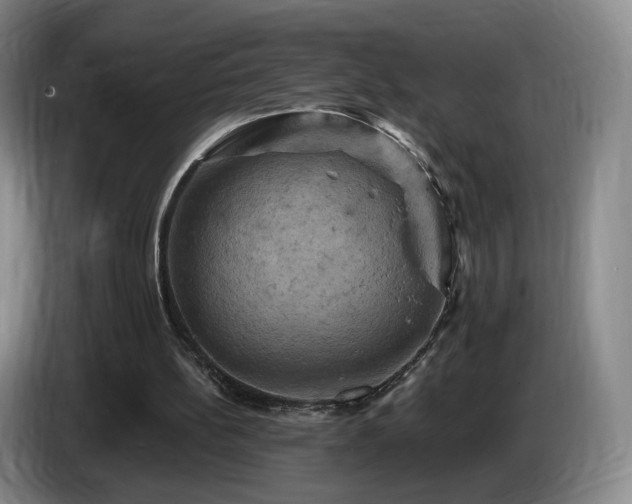 X0000085300148200703091440