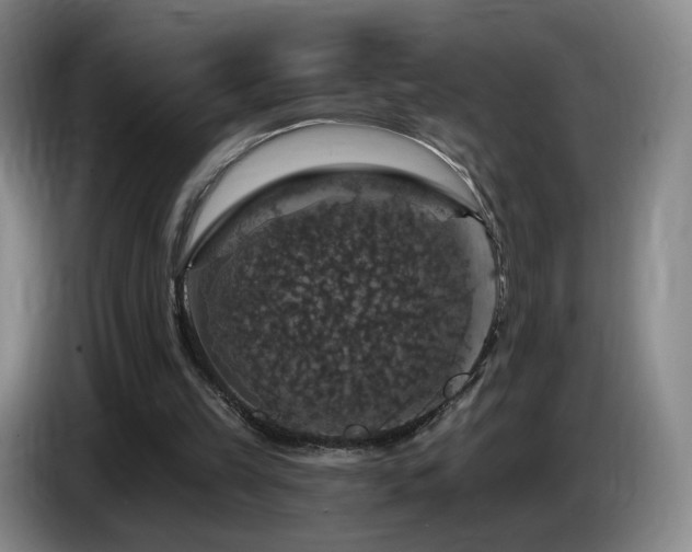 X0000085300149200703091440