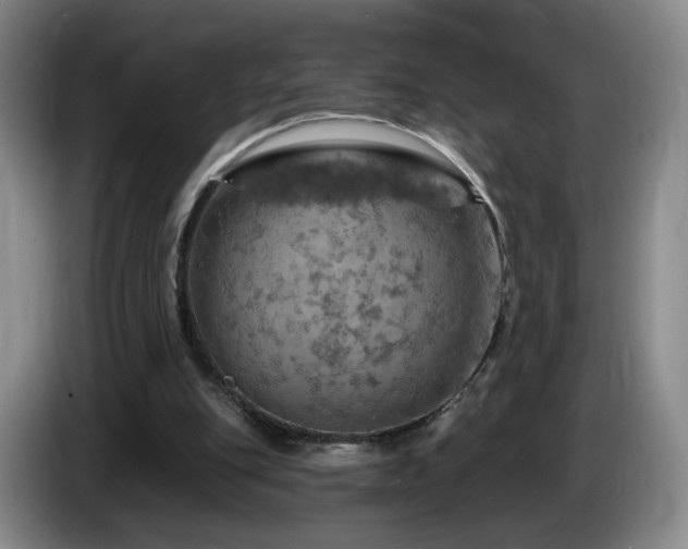 X0000085300151200703091440