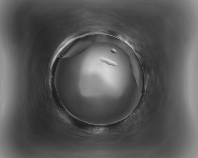 X0000085300152200703091440