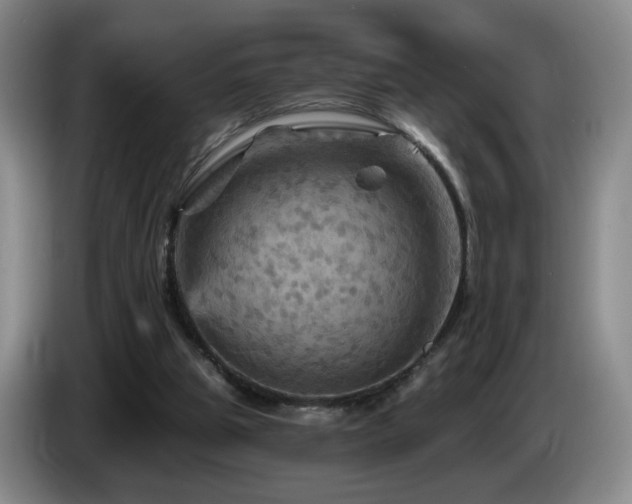 X0000085300153200703091440