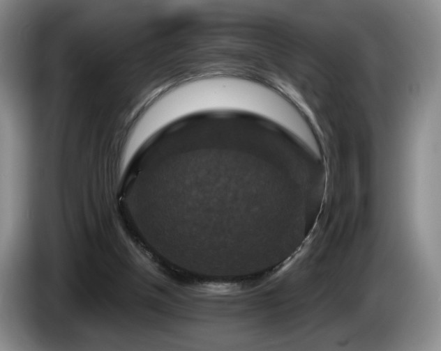 X0000085300154200703091440