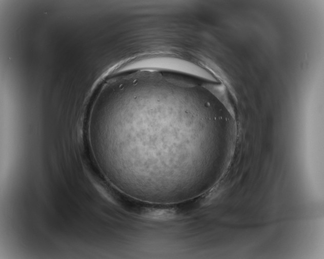 X0000085300155200703091440