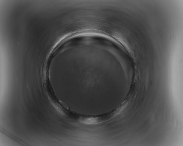 X0000085300156200703091440