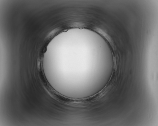 X0000085300157200703091440