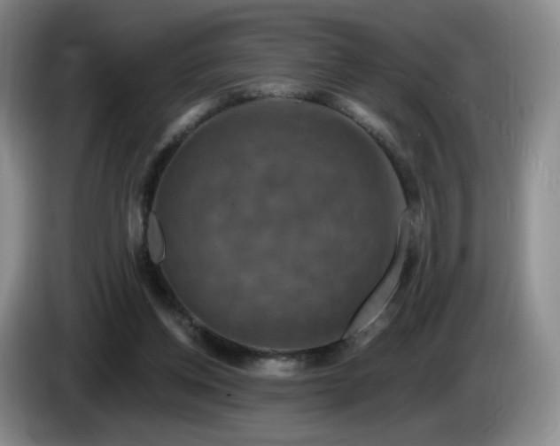 X0000085300158200703091440