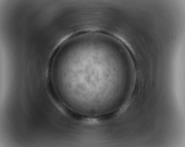 X0000085300159200703091440