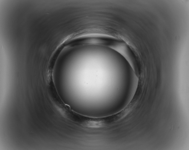 X0000085300160200703091440