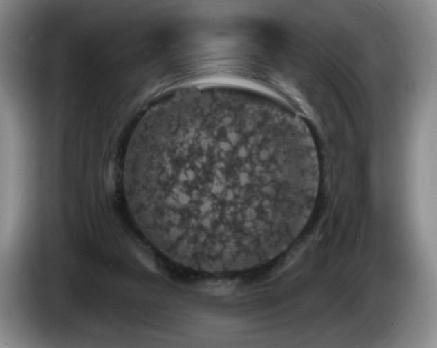 X0000085300161200703091440