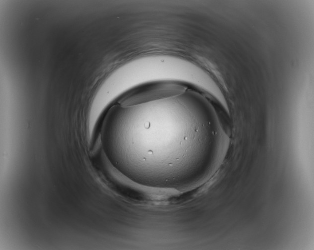 X0000085300162200703091440