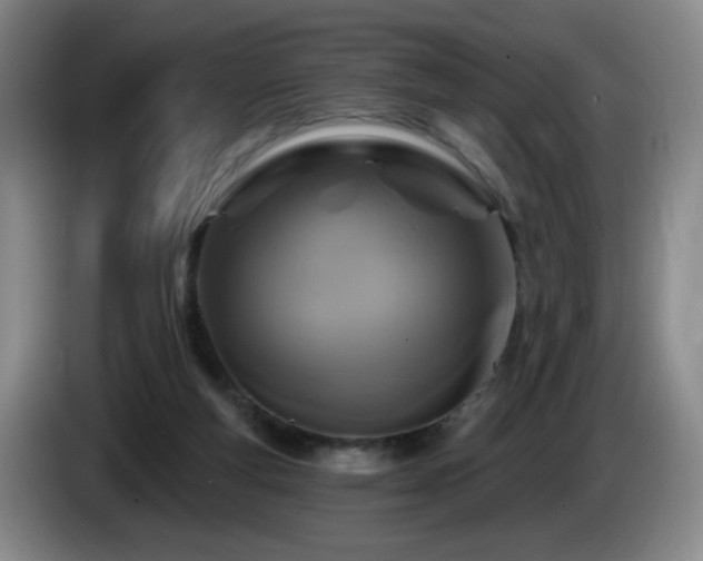 X0000085300163200703091440