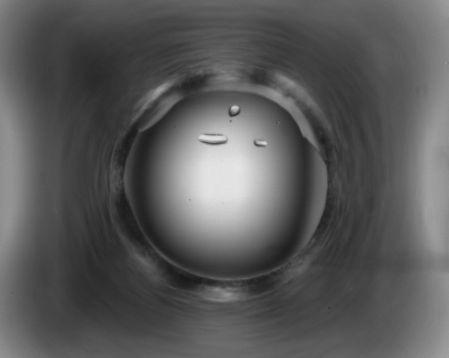 X0000085300164200703091440