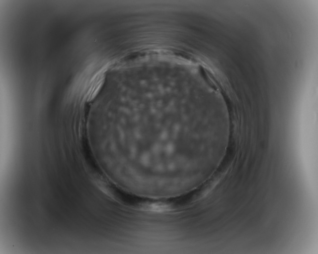 X0000085300165200703091440