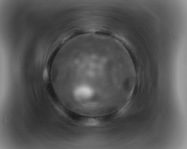 X0000085300166200703091440