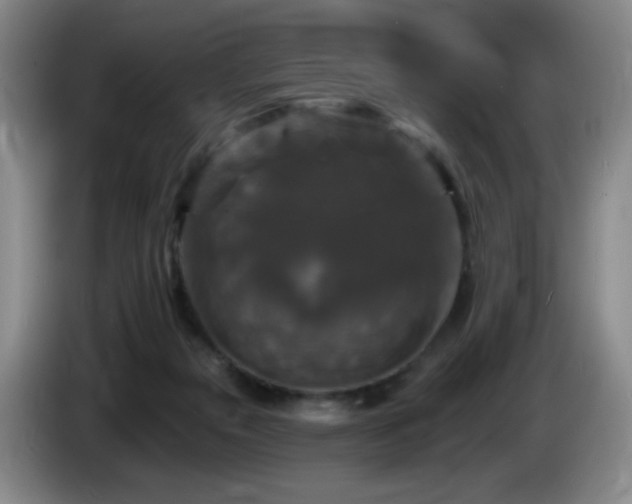 X0000085300169200703091440