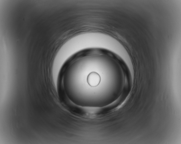 X0000085300170200703091440