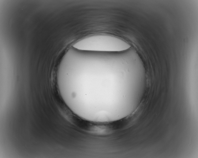 X0000085300171200703091440