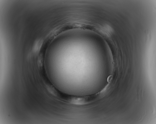 X0000085300174200703091440