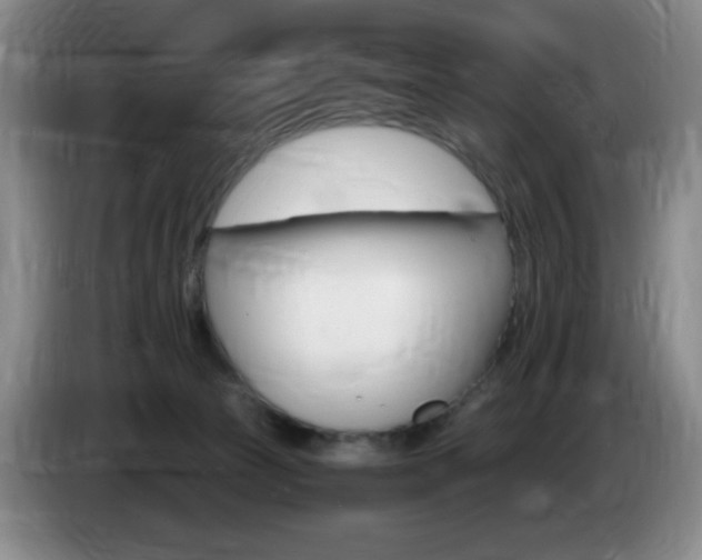 X0000085300177200703091440