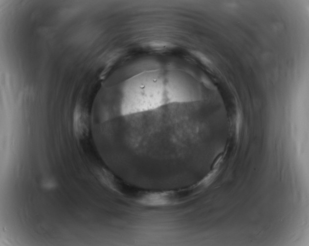 X0000085300178200703091440