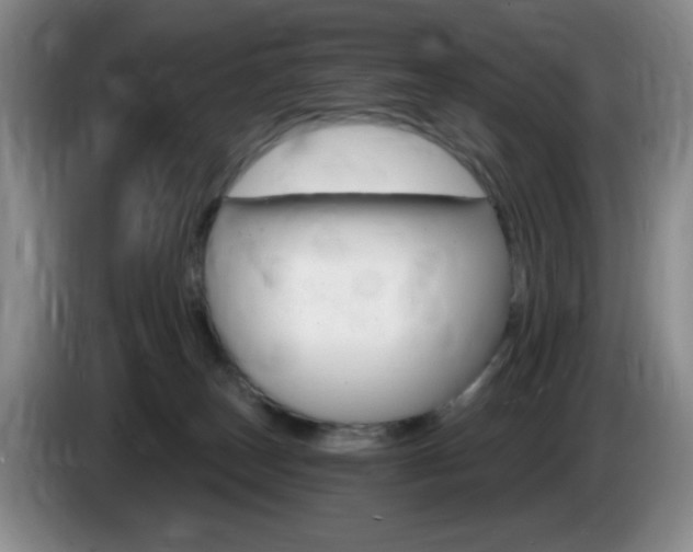 X0000085300179200703091440