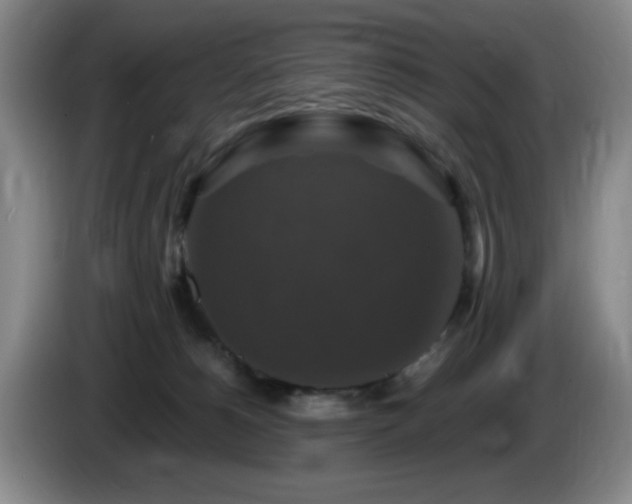 X0000085300180200703091440