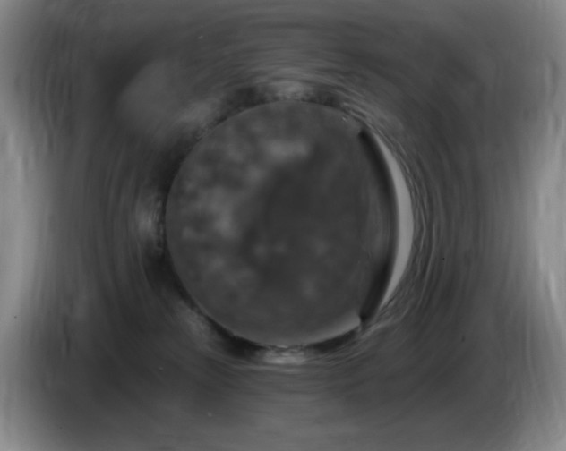 X0000085300181200703091440