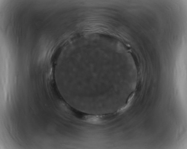 X0000085300182200703091440