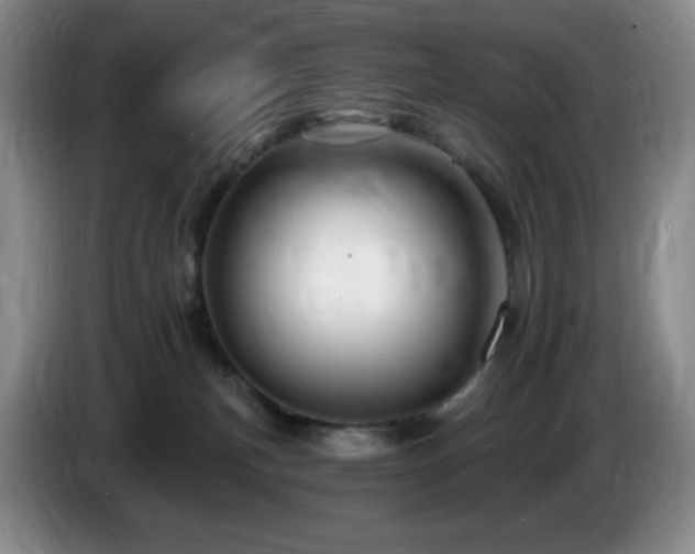 X0000085300183200703091440